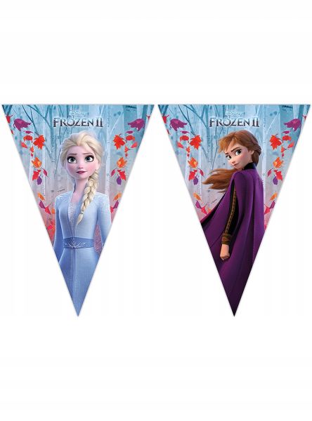 Frozen 2 Bayrak Set