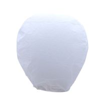 Beyaz Dilek Balonu